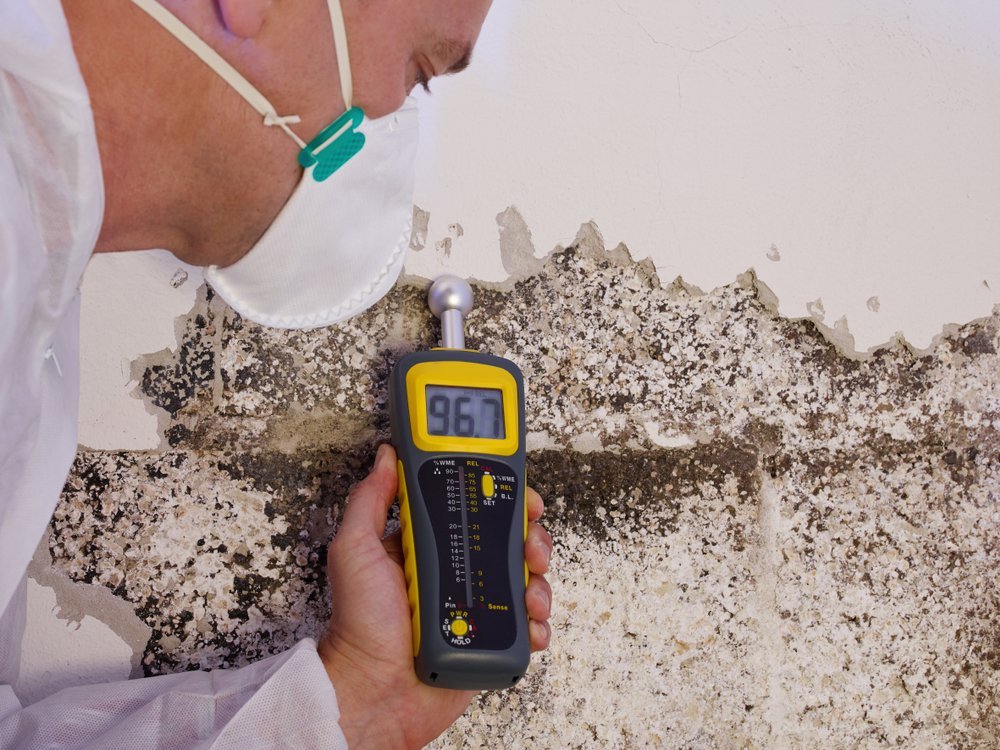 mold inspections knoxville TN patriot restoration mold inspections knoxville TN patriot restoration