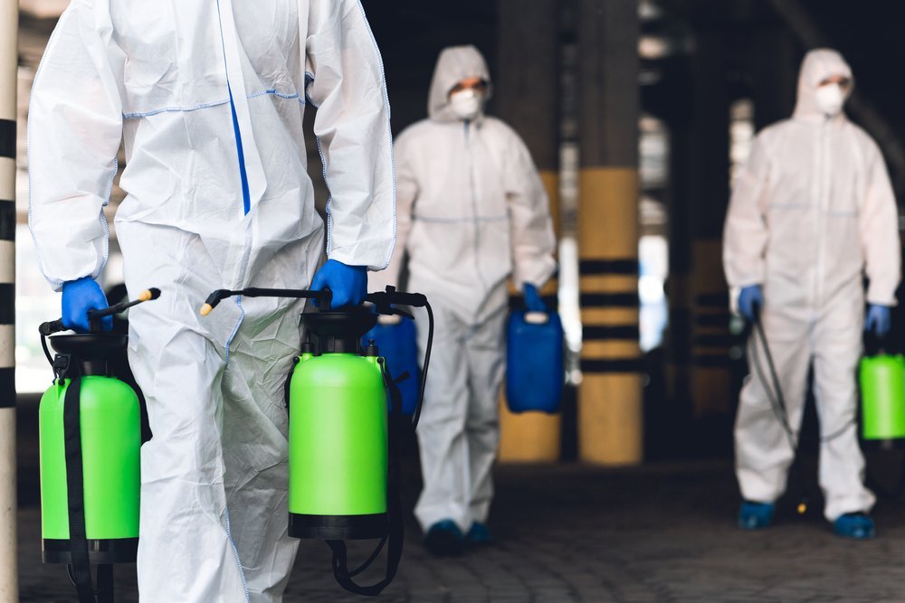 mold remediation specialists preparing to enter a site Mold removal near me