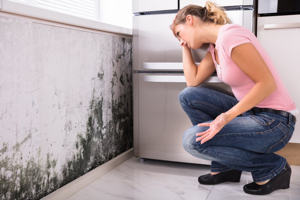 Knoxville Mold Inspection and Cleaning Knoxville Mold Inspection and Cleaning