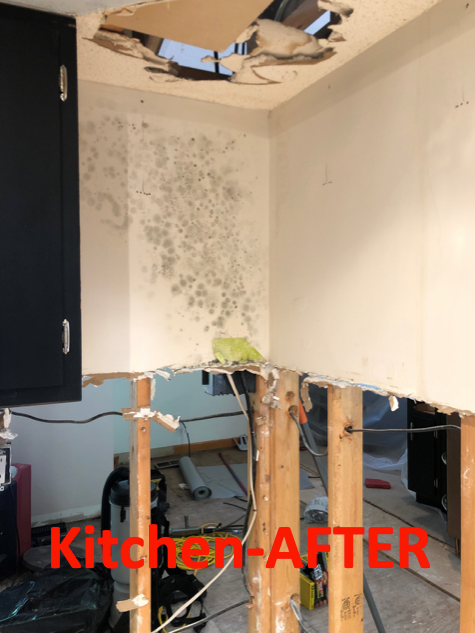 knoxville water leak repairs