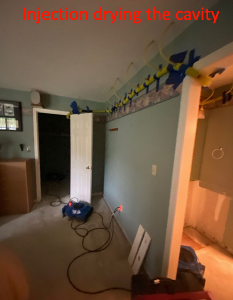 knoxville moisture damage inspection and drying