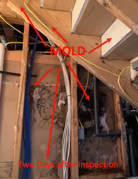 knoxville water leak inspection and repair