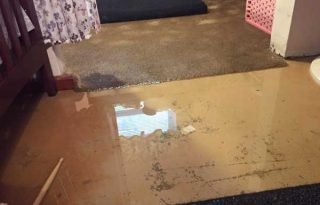 water removal in knoxville