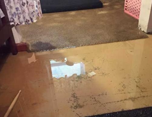 What is Water Mitigation?