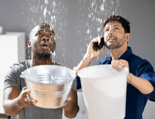 Emergency Water Restoration Top Tips for Immediate Action